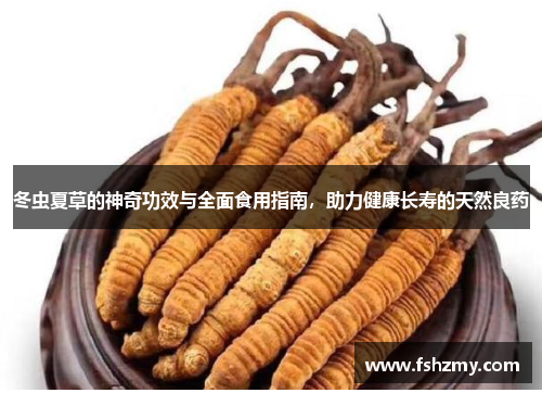 冬虫夏草的神奇功效与全面食用指南，助力健康长寿的天然良药