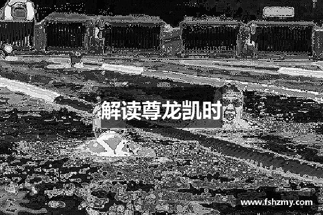 解读尊龙凯时